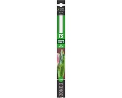 As Reptile Ferguson Zone 2, 6%UVB UVI 1.8 T5 UVB lamp 1150 mm 54W voor reptielen 1150 MM 54W
