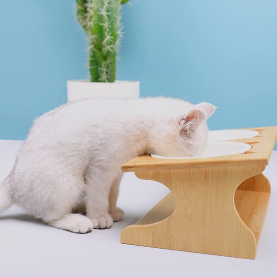 Verhoogde kattenbak met standaard, gekantelde kattenbak voor kitten, verhoogde kattenbak, anti-braken, plastic transparant kattenvoer, waterboog (drie kommen