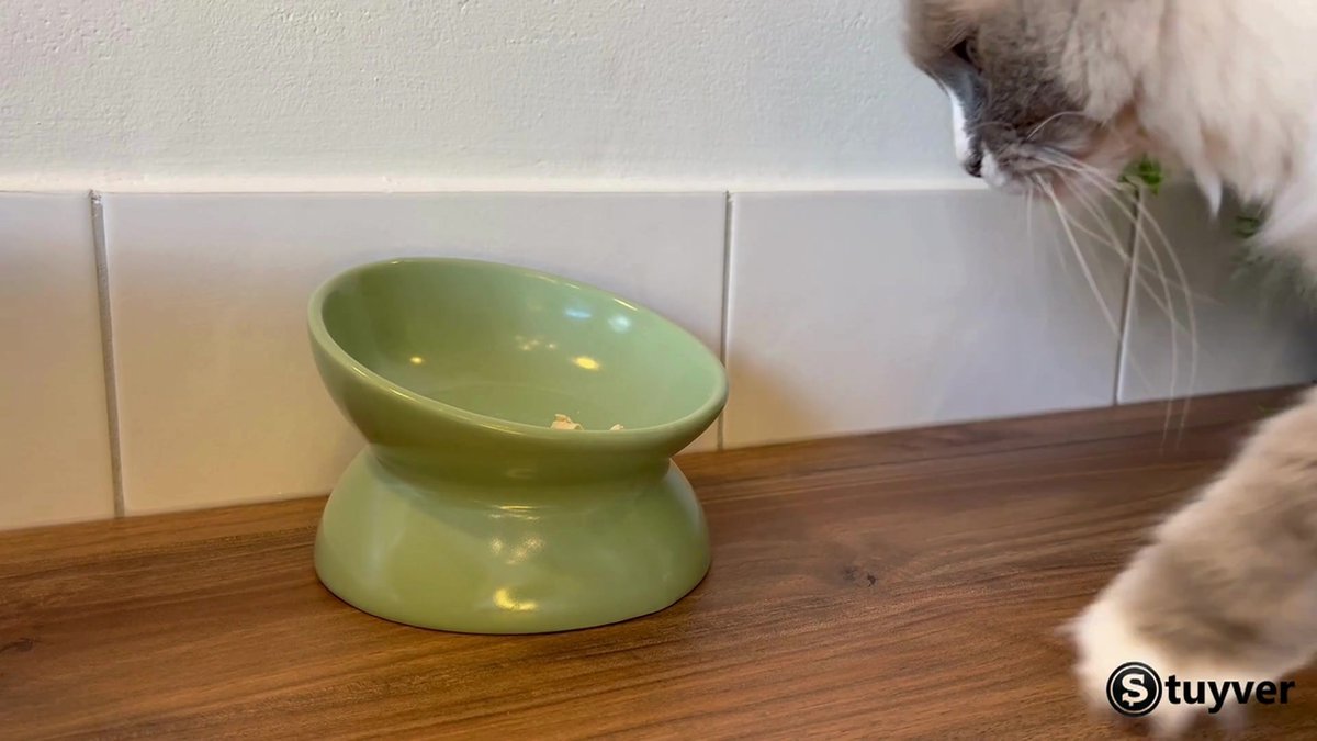 Katten Voerbak Chip Gele Voerbak Kat Een - Automatische Kattenvoerbak - Kattenvoerbak - Kattenvoerbak Verhoogde Kattenvoerbak Stoneware Kattenbak Wit Katten Voerbak Chip Gele Voerbak Kat Een - Automatische Kattenvoerbak - Kattenvoerbak - Kattenvoerbak Verhoogde Kattenvoerbak Stoneware Kattenbak Wit