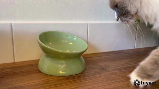 Keramische verhoogde kattenvoerbak - gekantelde kattenschotel anti-braken - kleine verhoogde voerbak - magnetron- en vaatwasmachinebestendig - 4 oz