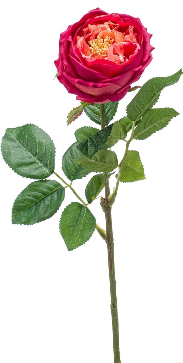 Emerald - Kunstbloem Roos Jenny RT 60cm beauty - Kunstplant voor binnen