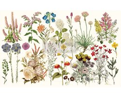 Redesign - Decoupage Tissue Paper - Wild Herbs - 48.26 x 76,2 cm