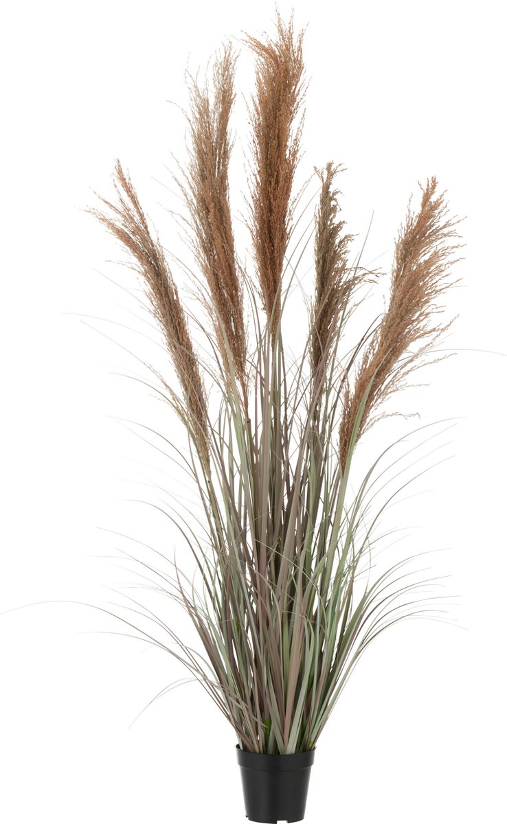 J-Line pampas gras 5 koppen in pot - kunststof - groen/oranje - small