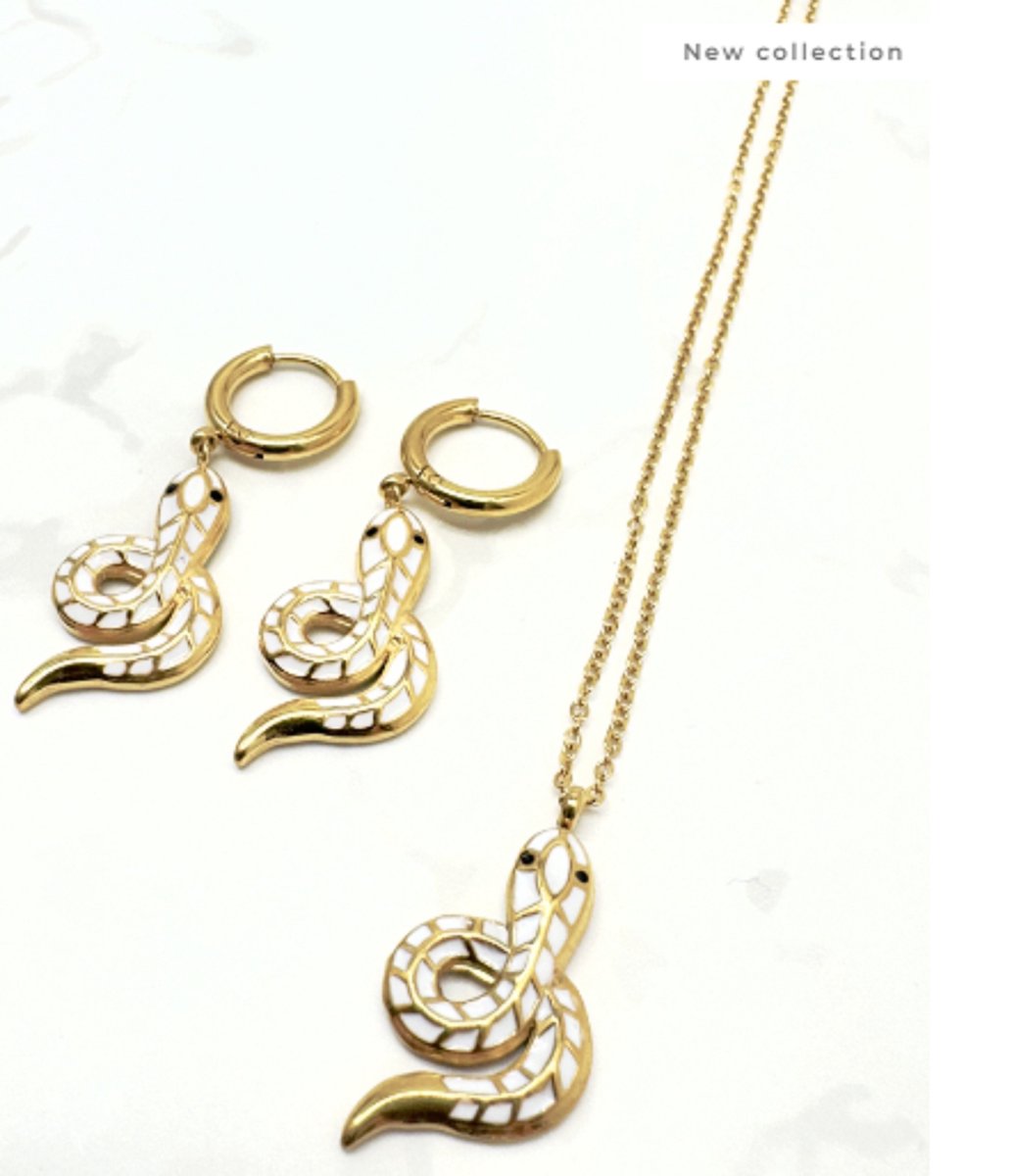sieraden set - ketting met oorbellen - kleur goud - oorbellen met slang - ketting met hanger hartslang - snake - RVS - luxe set -stainless steel en nikkelfree - cadeau - kerst kado - mam - moeder - waterproof - nieuwe collectie