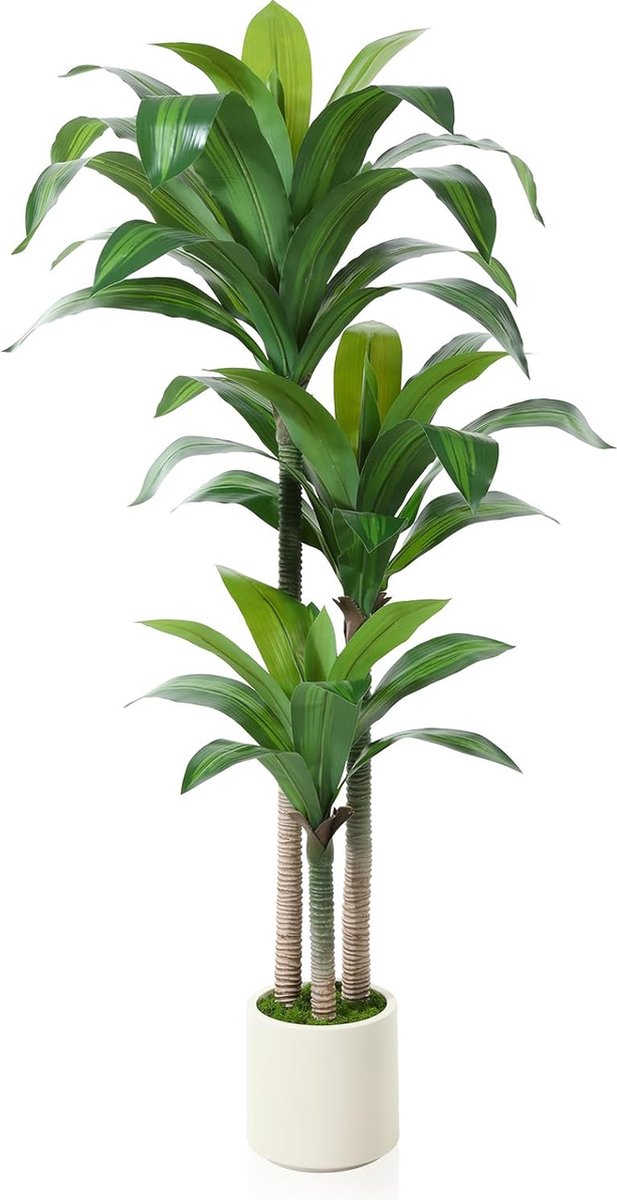 Goodivery ® Realistische Kunstmatige Drakenboom 150 cm voor Binnen- en Buitendecoratie