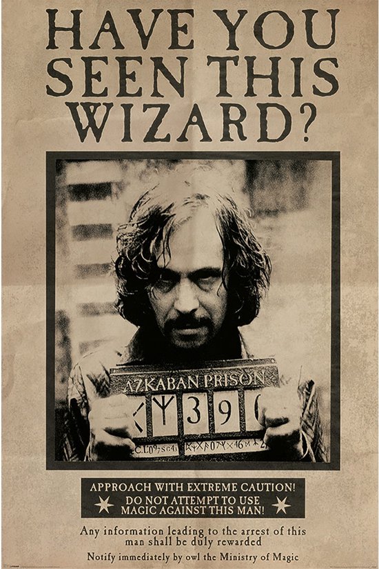 PL 44 - Harry Potter (Wanted Sirius Black) - Maxi Poster 91x61cm