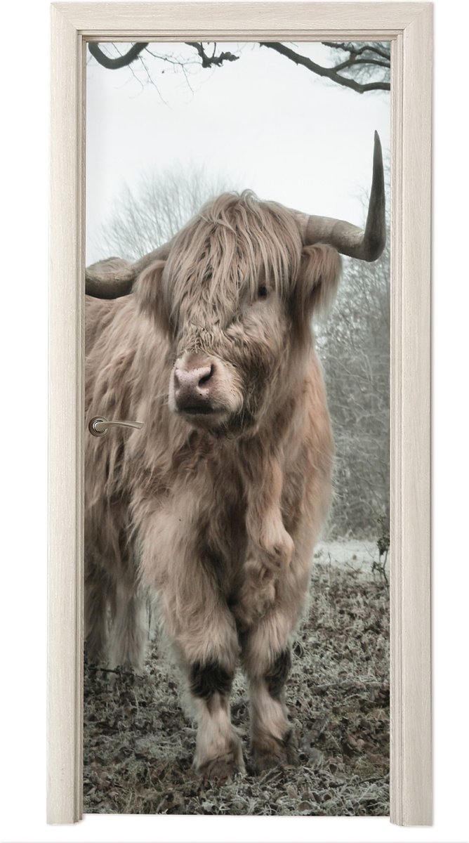 Deurposter 80x215 cm - Deursticker Schotse Hooglander - Bos - Mist - Koe - Dieren - Natuur