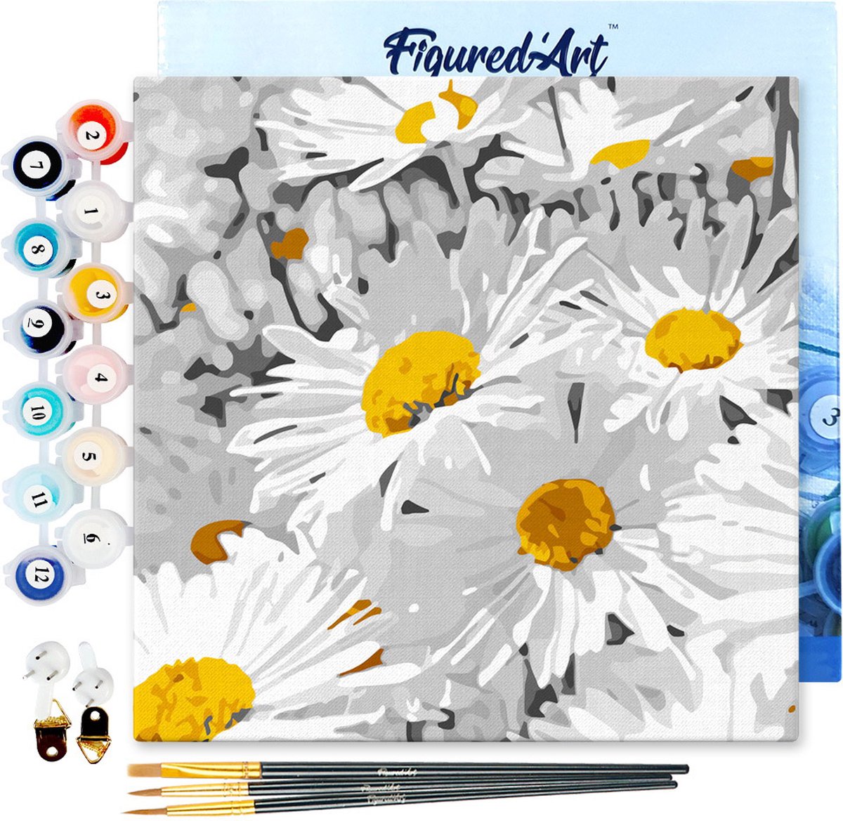 Figured'Art Mini Schilderen op Nummer Volwassenen 20x20cm met lijst Mooie madeliefjes - Klein Formaat Creatieve Hobby Kit DIY Art Nummer Compleet
