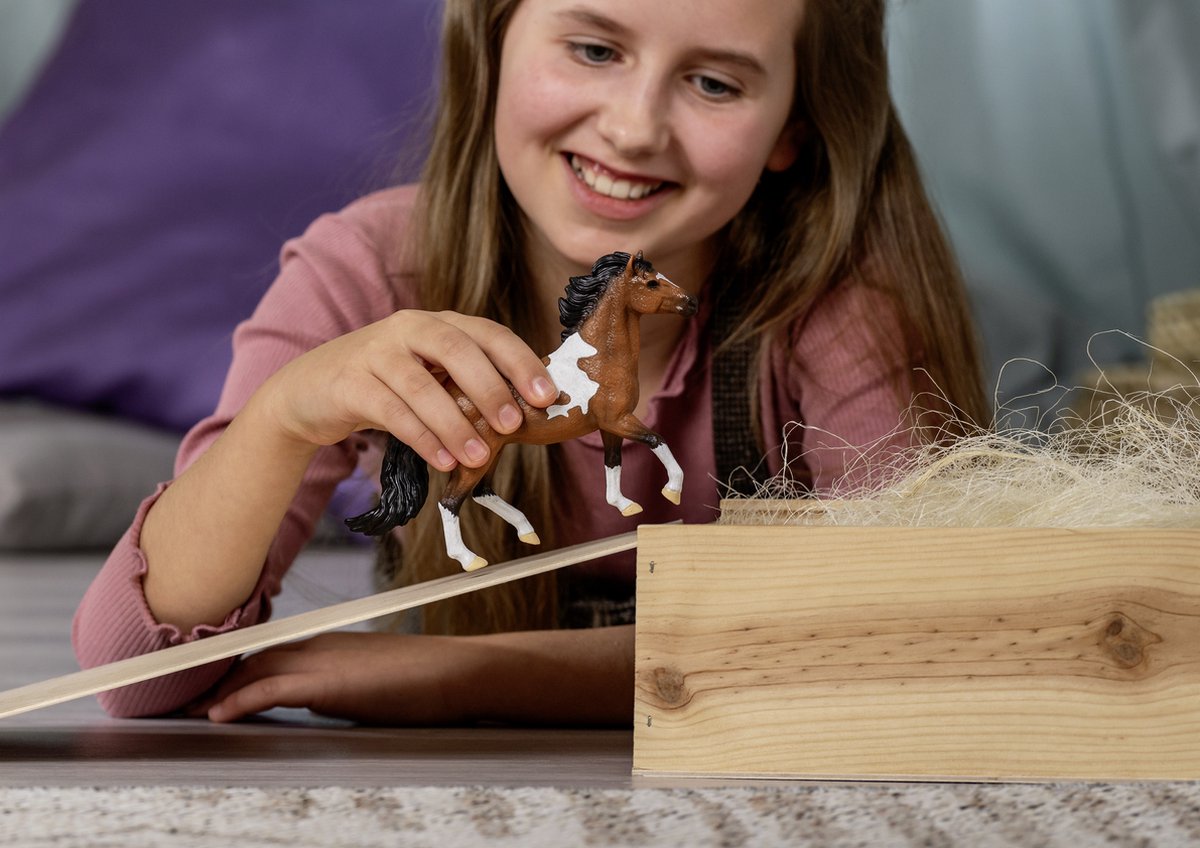 schleich HORSE CLUB - Mangalarga Marchador Hengst - 13978 — afbeelding 7
