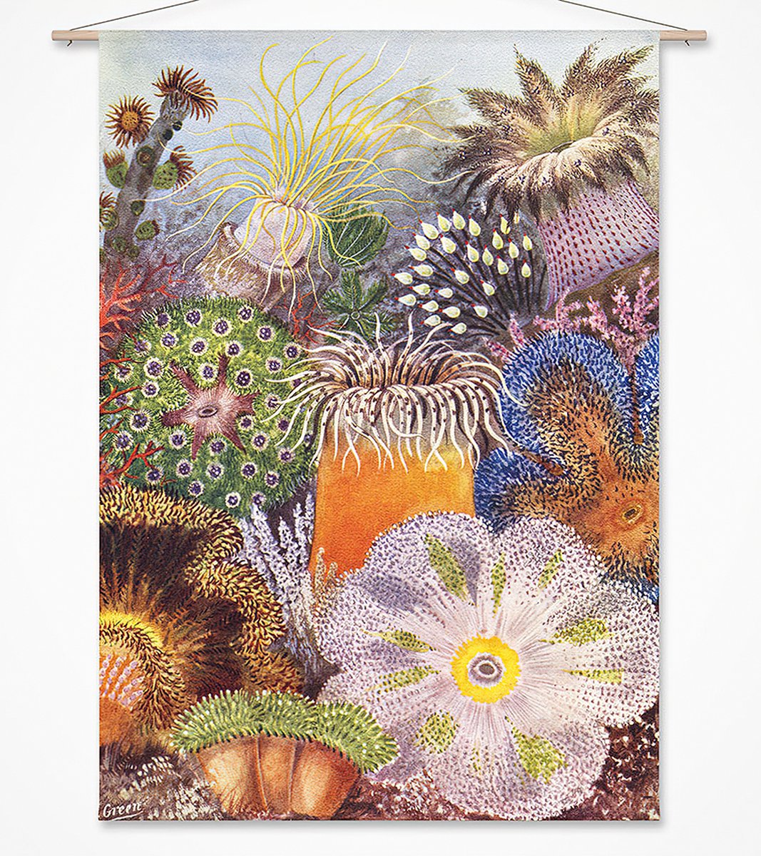 Wanddoek-XL Kleurrijke zee-anemonen van J. Green (zonder houten stokken)