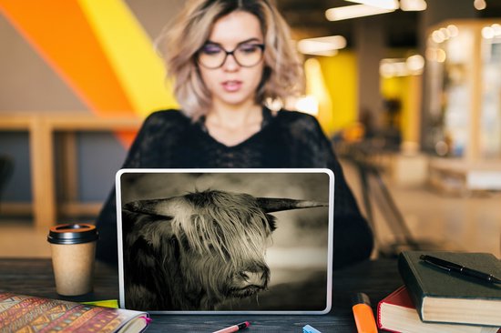 Autocollant pour ordinateur portable - 10,1 pouces - Highlander écossais - Animaux - Cheveux - 25x18cm - Autocollants pour ordinateur portable - Peau pour ordinateur portable - Couverture