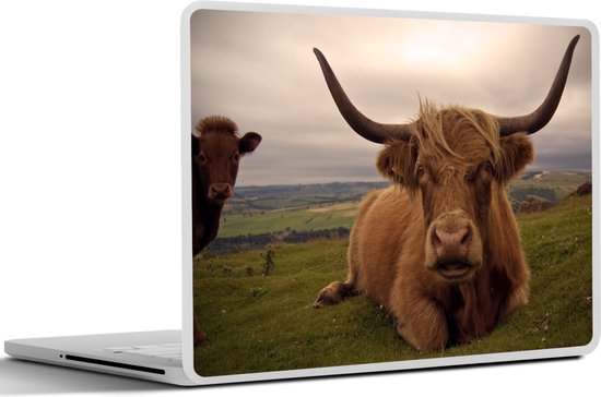 Sticker pour ordinateur portable - 10,1 pouces - Scottish Highlander - Animaux - Berg