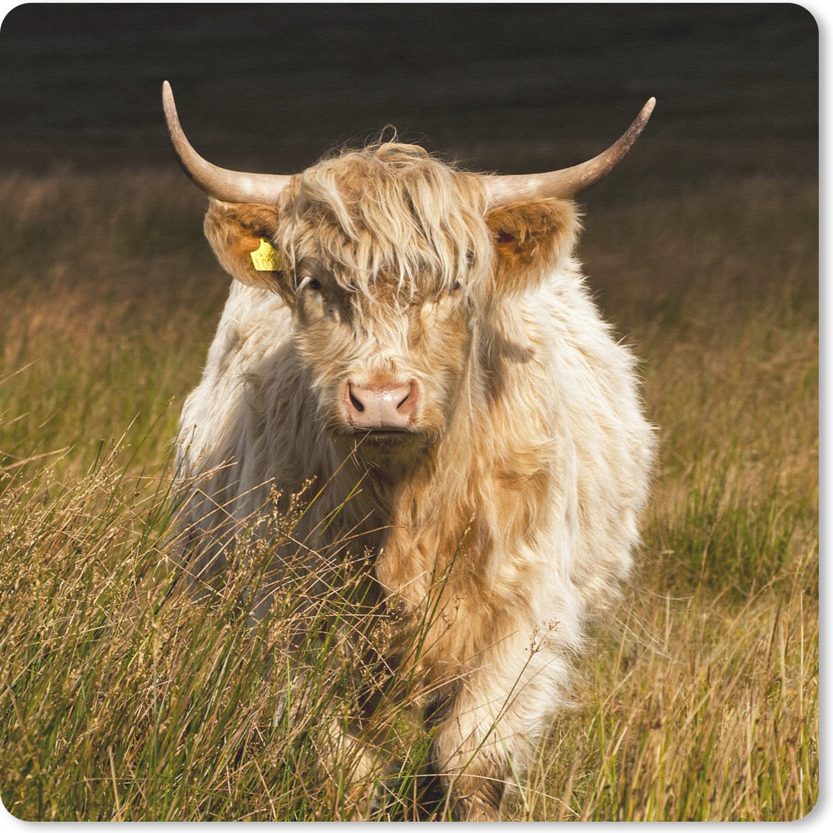 Muismat 20x20 cm - Mousepad Schotse Hooglander - Licht - Gras - Dieren - Muismatten