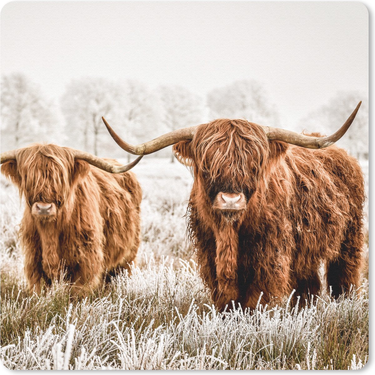 Muismat 20x20 cm - Mousepad Schotse hooglander - Koe - Dieren - Muismatten