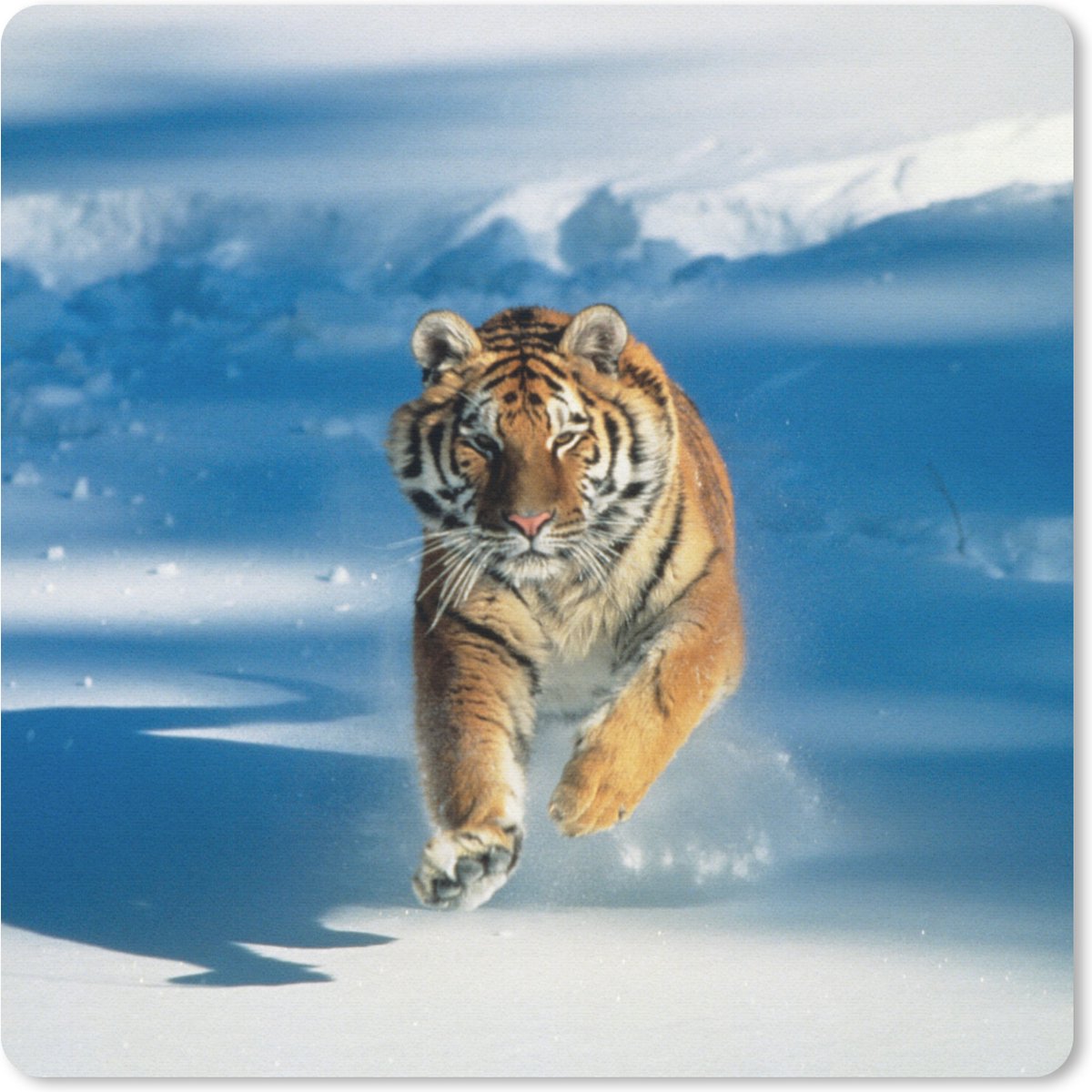 Muismat 30x30 cm - Mousepad Tijger - Sneeuw - Rennen - Muismatten