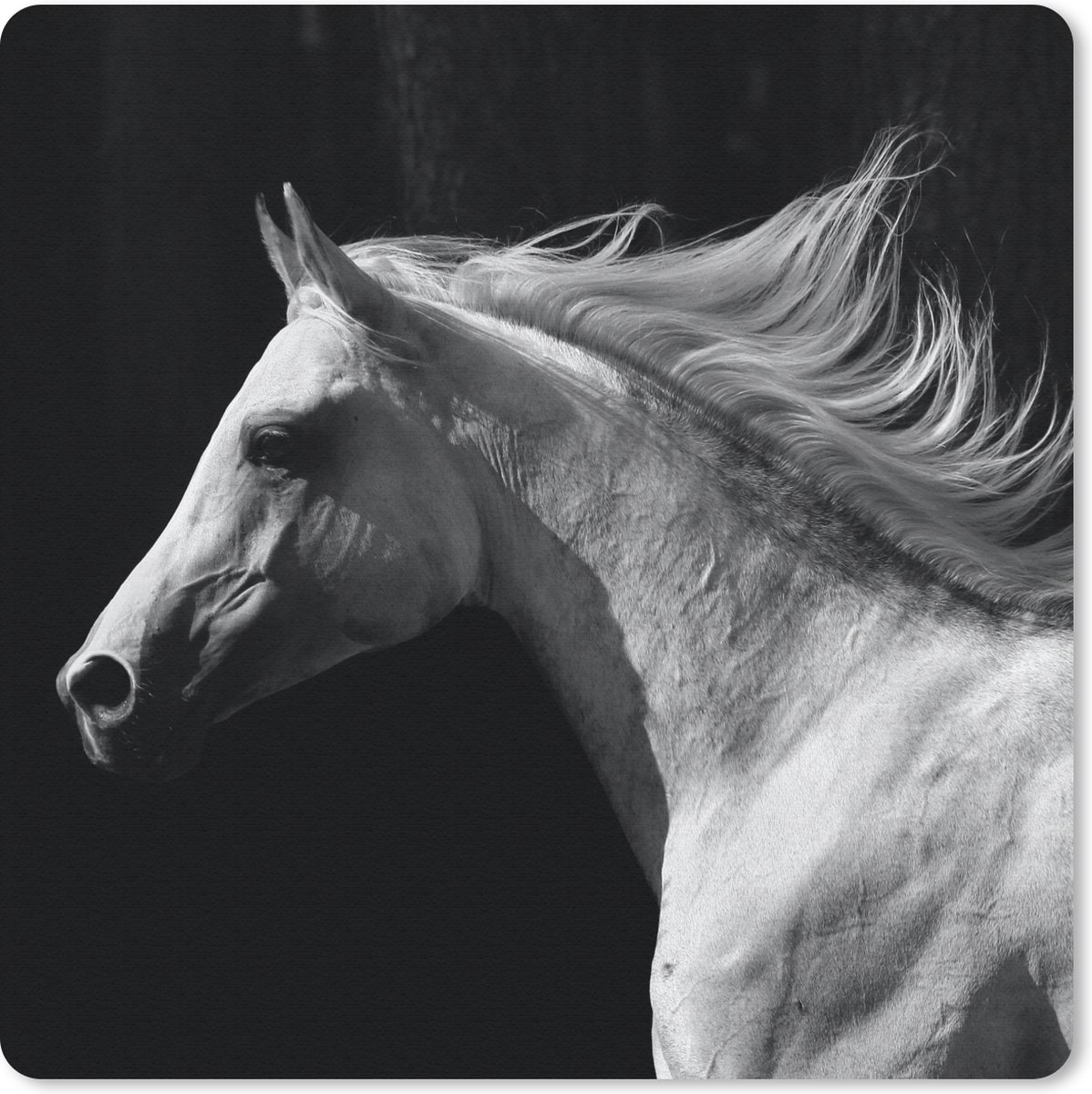 Muismat 30x30 cm - Mousepad Paarden - Dieren - Portret - Muismatten