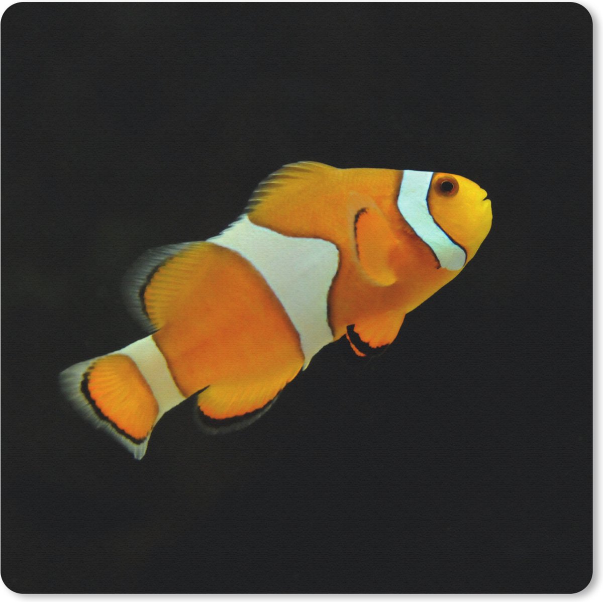 Muismat 20x20 cm - Mousepad Vis - Lijn - Zwart - Muismatten