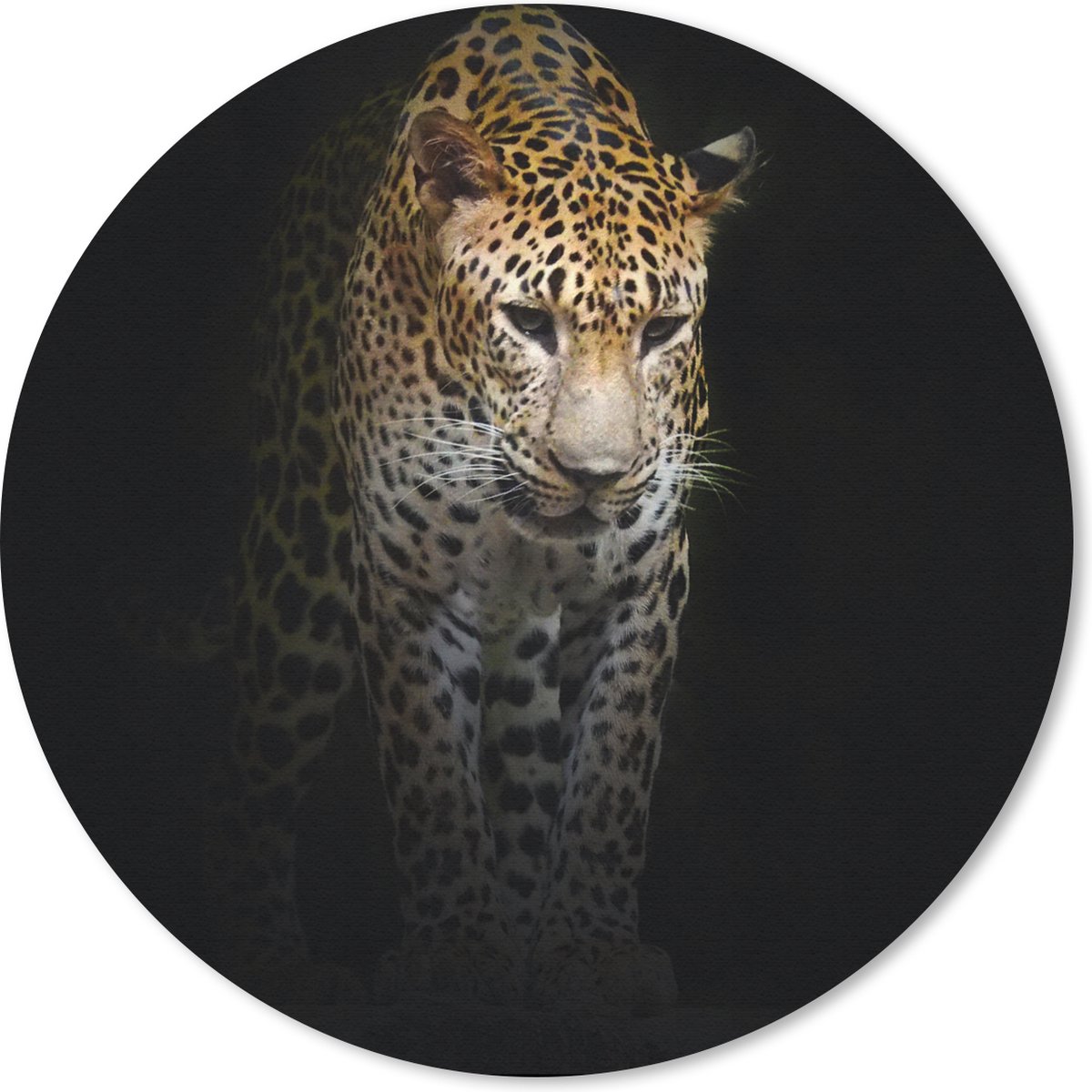 Muismat rond 30x30 cm - Mousepad Luipaard - Reflectie - Zwart - Ronde muismatten