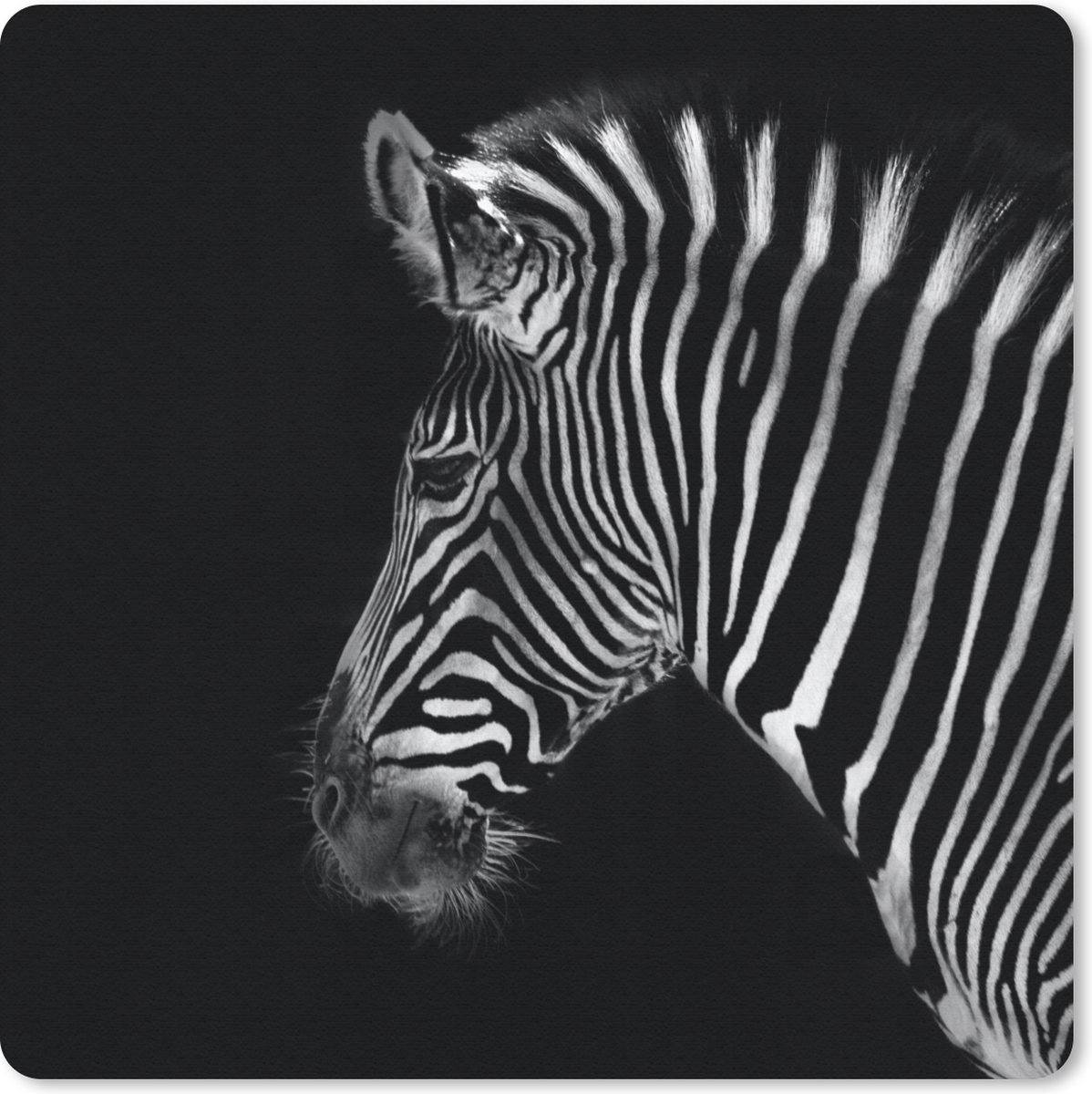 Muismat 30x30 cm - Mousepad Zebra - Wilde dieren - Zwart - Muismatten