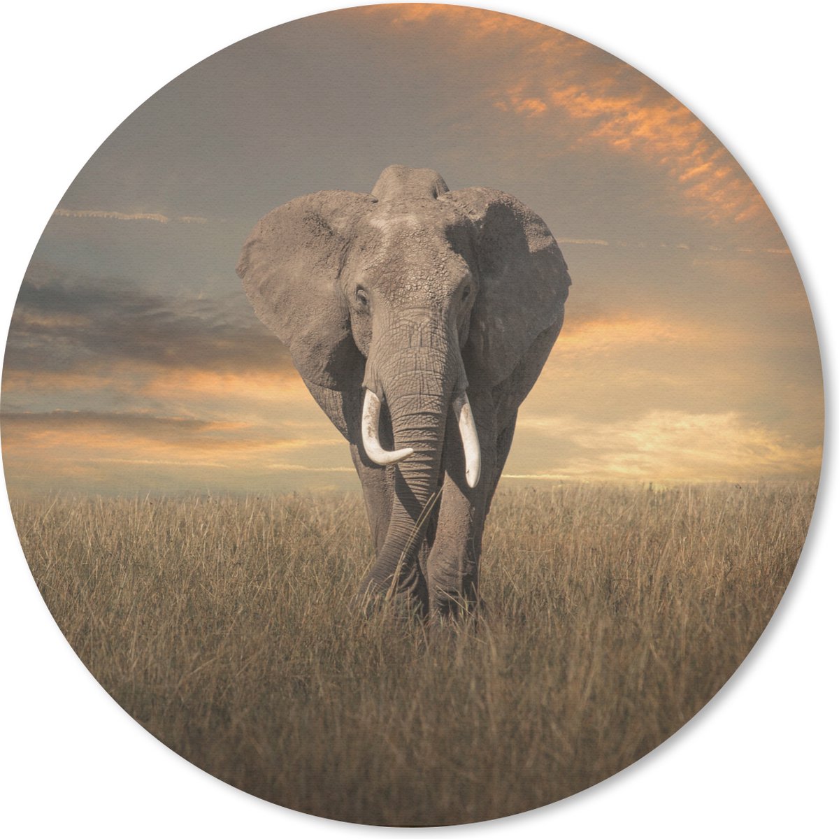 Muismat rond 50x50 cm - Mousepad Olifant - Dieren - Gras - Natuur - Ronde muismatten