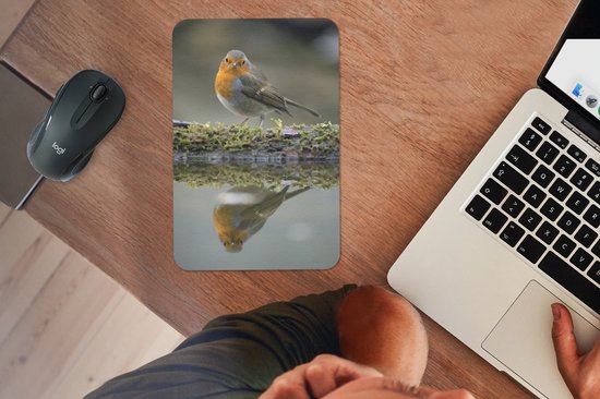 Muismat 18x27 cm - Mousepad Roodborstje - Water - Mos - Muismatten