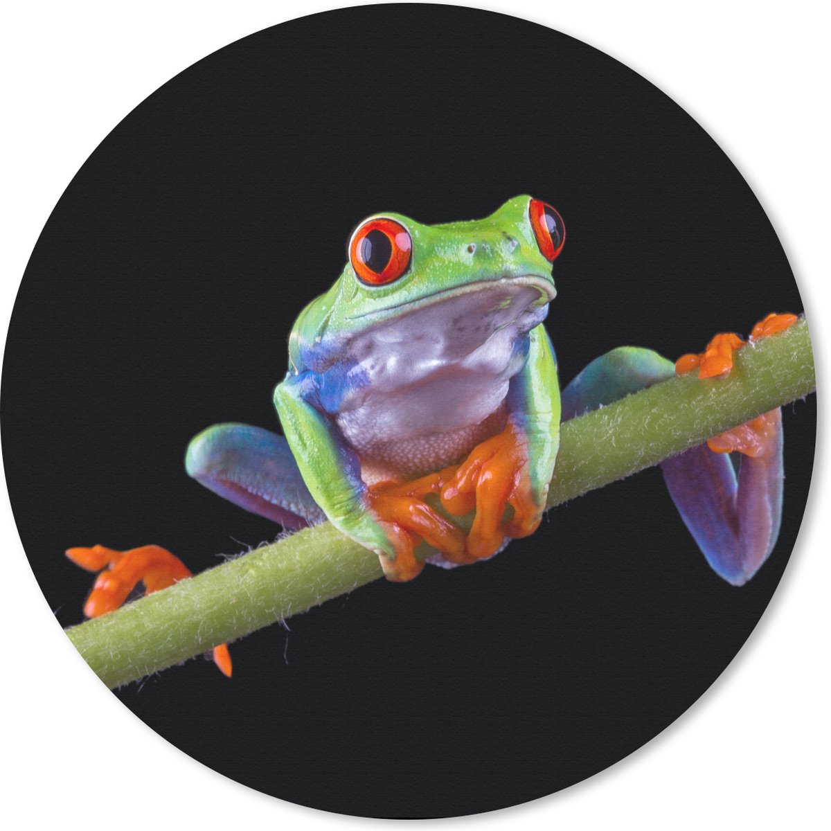 Muismat rond 30x30 cm - Mousepad Kikker - Plant - Zwart - Ronde muismatten