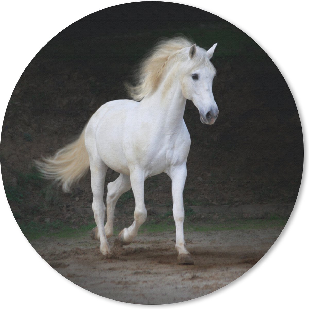 Muismat rond 20x20 cm - Mousepad Paarden - Zand - Donker - Ronde muismatten