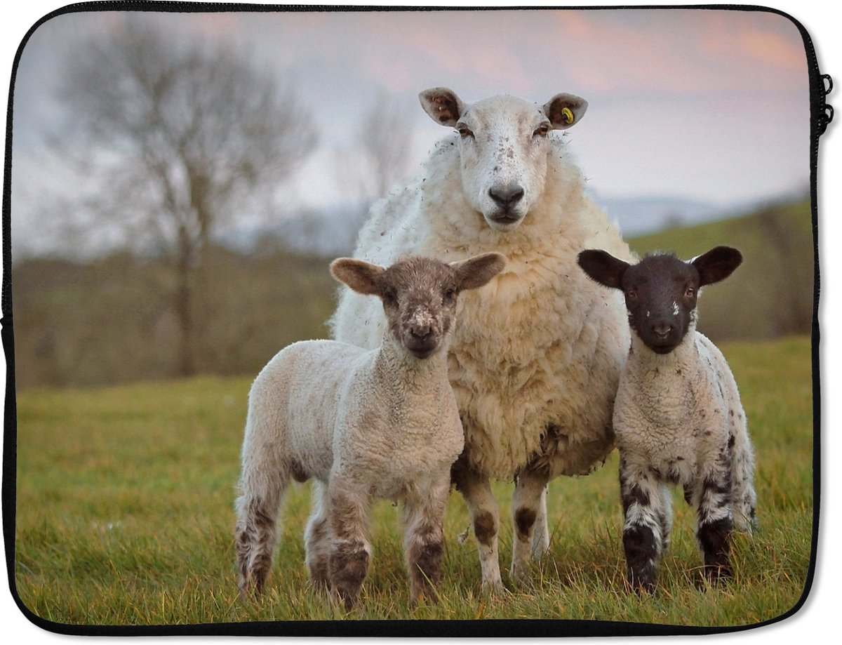 Laptophoes 17 inch - Schapen - Natuur - Zwart - Wit - Laptop sleeve - Binnenmaat 41x28 cm - Zwarte achterkant