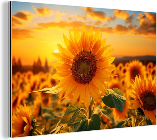 Tableau aluminium 150x100 cm - Décoration murale métal - Tournesol - Fleurs - Jaune - Champ de fleurs avec tournesols - Décoration murale métal salon - Décoration industrielle - Photo sur dibond - Accessoires industriels chambre
