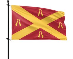 VlagDirect - Wijchen vlag - Gemeente Wijchen vlag - 90 x 150 cm.