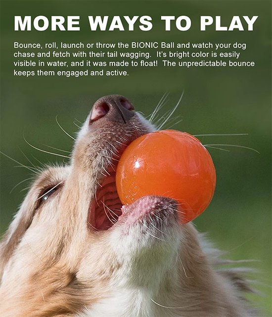 Een hond met zijn bek wijd open die een oranje BIONIC bal vasthoudt. Tekst: MORE WAYS TO PLAY.
