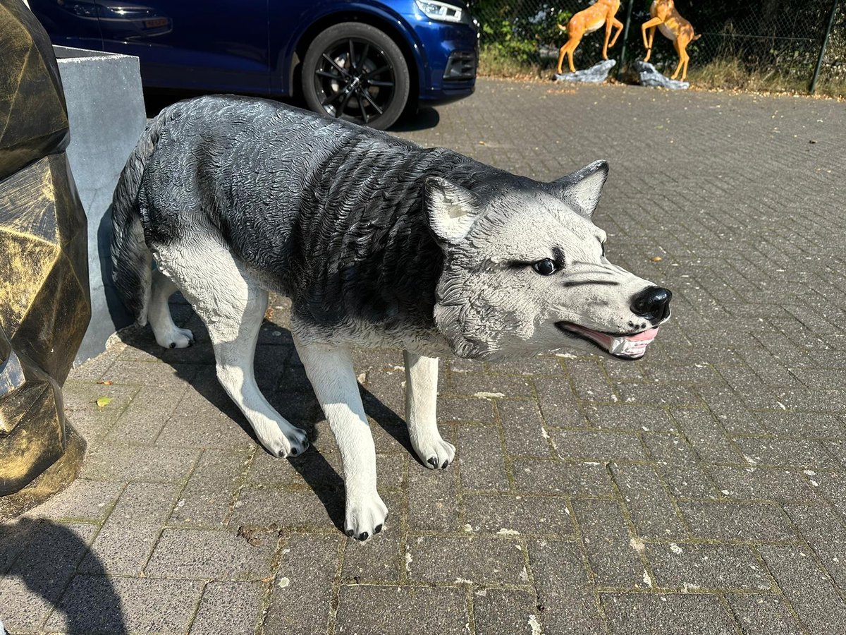 Goodyz-Roofdieren-Wolf-staand-Grijs/wit-