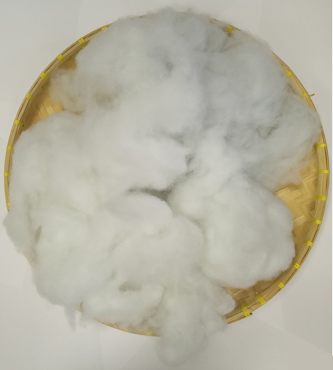 Guling Prosoft™ 5Kg. met Low Sweat 100% Easyrest™ Prosoft™ gesiliconeerde vezels ademende holle duurzame anti allergeen Microvezel navulling- 100% Vegan en Halal! Voor Bantal Pollo Rolkussen-Indische guling.Goeling-Bolster-Yoga-Zorg-lichaamskussen #