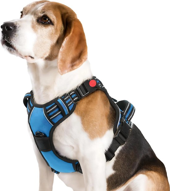 JAXY Harnais pour chien - Harnais pour chien - Harnais pour petit chien - Harnais en Y pour chien - Harnais pour chien - Harnais anti- Trek pour chien - Réfléchissant - Taille M - Blauw