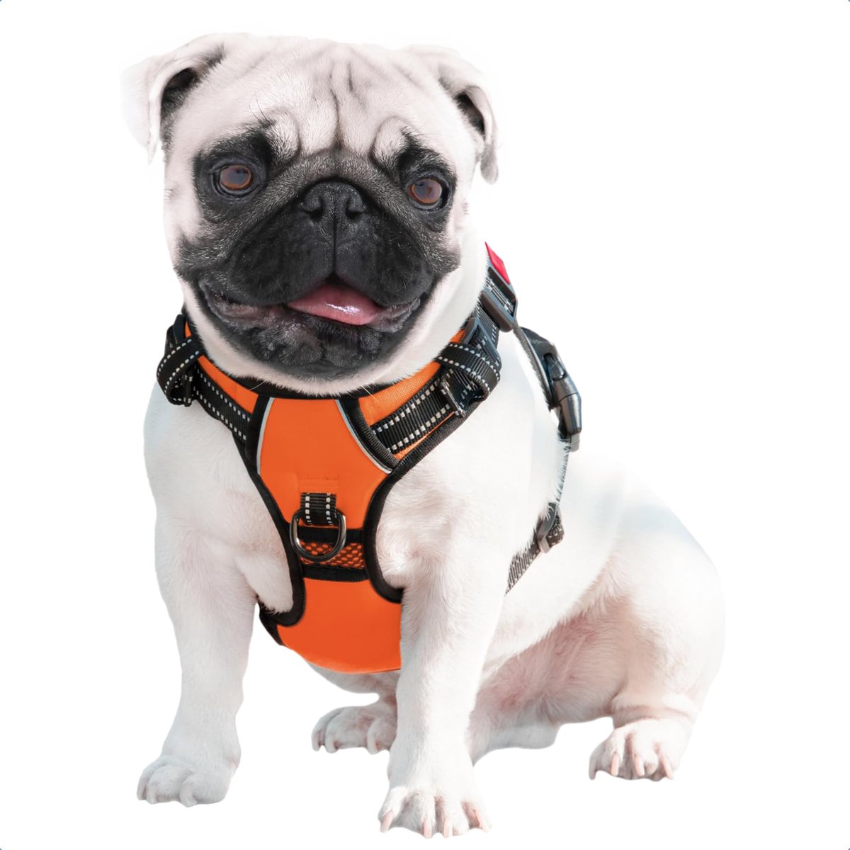 JAXY Hondenharnas - Hondentuig - Hondentuigje Kleine Hond - Y Tuig Hond - Harnas Hond - Anti Trek Tuig Hond - Reflecterend - Maat S - Oranje