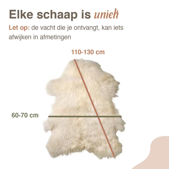 Peau de mouton Islande Wit - L/XL 100-120 cm - Tapis - 100% Réel