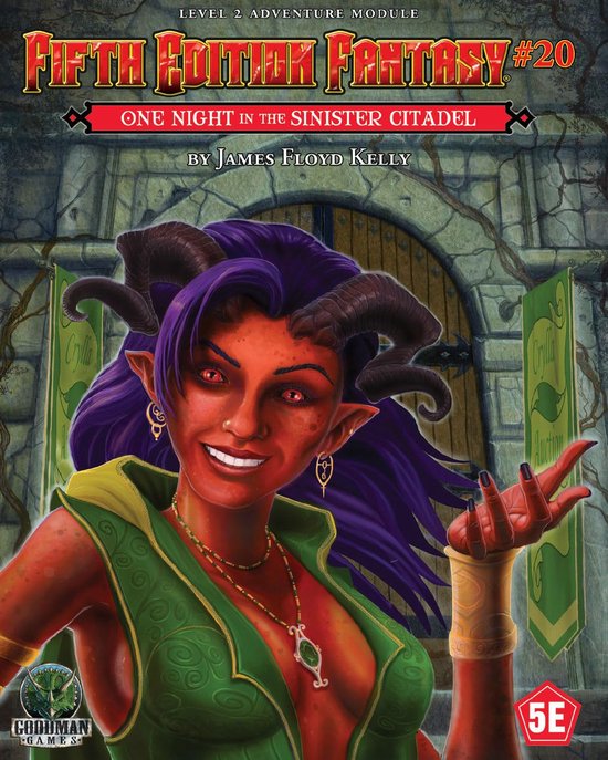 Fifth Edition Fantasy #20: One Night Inside the Sinister Cit ... - cover