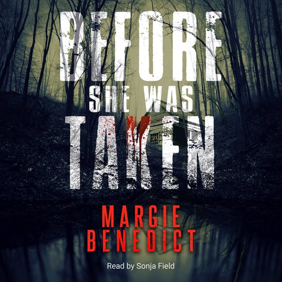 Before She Was Taken - cover