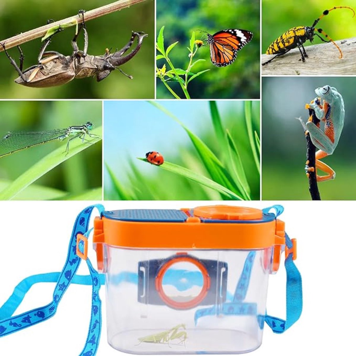 Bug Explorer Kit in Wolverhampton für £ 5,00 zum Verkauf | AT