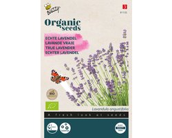 Buzzy Zaden Lavendel Biologisch