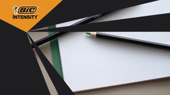 BIC Intensity Premium - Kleurpotloden - Kinderen en volwassenen - Grijs - Potlood - 24 Stuks