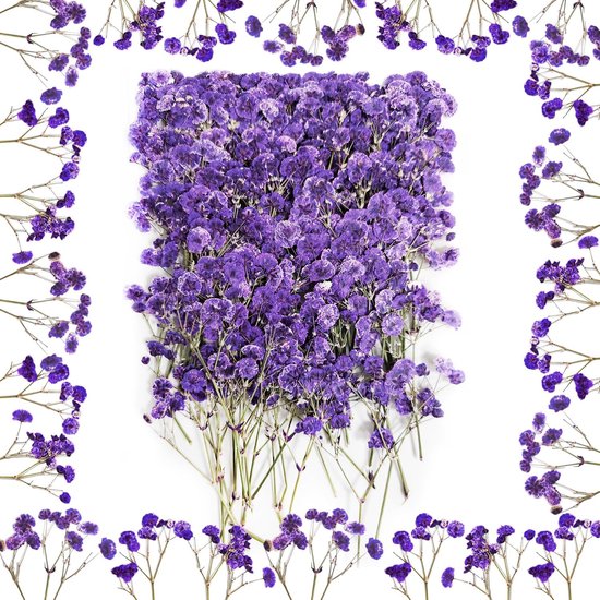Gugxiom Gedroogde geperste bloemen voor hars, 5 zakken met 100 geperste bloemen, 5 kleurthema's, droge bloemen voor nail art, hars, doe-het-zelf sieradenontwerp, hoezen (type 1