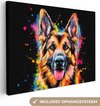 Multi, Herdershond