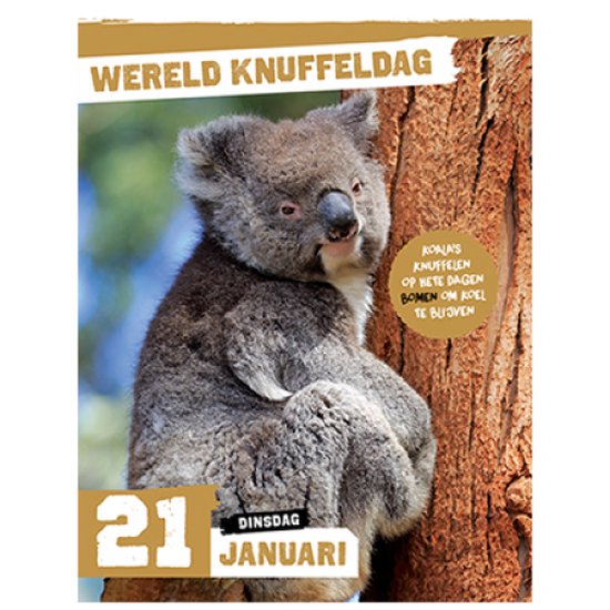 National Geographic Junior - Scheurkalender 2025 - Voor kinderen
