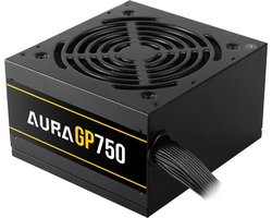 PC ATX Voeding Intern 750 Watt – 750W PSU Computer Power Supply Sleeved Cables - 2x 6+2 PIN aansluiting voor videokaart - ATX12V v2.4 Compatible - Gamdias Aura GP750