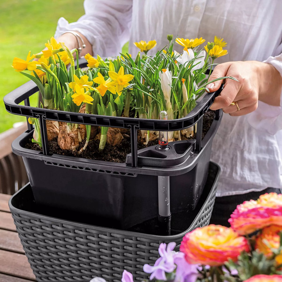 Lechuza Bacino Cottage - Jardinière - pot intérieur amovible