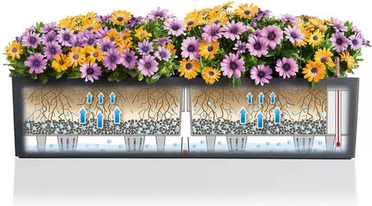 Lechuza Balconera Color 80 - Jardinière - avec pot intérieur amovible