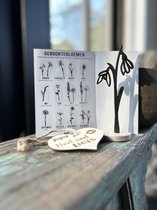 Créations d'Ici - Fleur de naissance avec coeur en bois - Perce-neige - Janvier - MDF Zwart - Bois