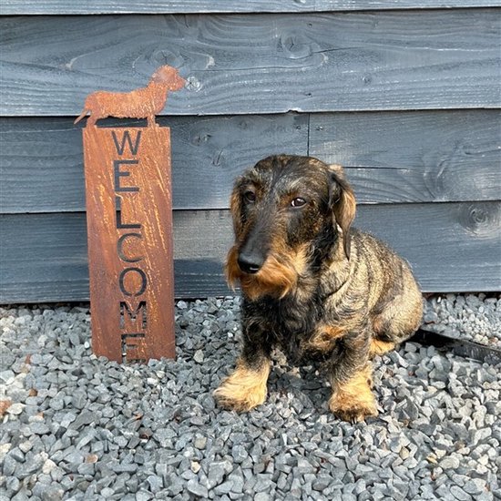 Dinner Bell Outdoor - boerderij welkom deurbel, rustieke hangende