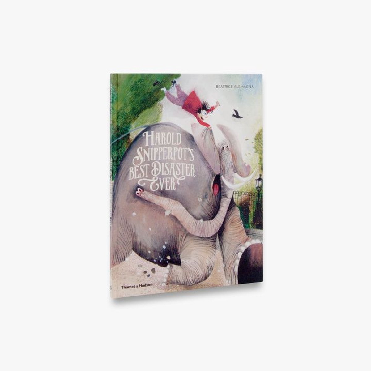 Harold Snipperpot?s Best Disaster Ever van Beatrice Alemagna